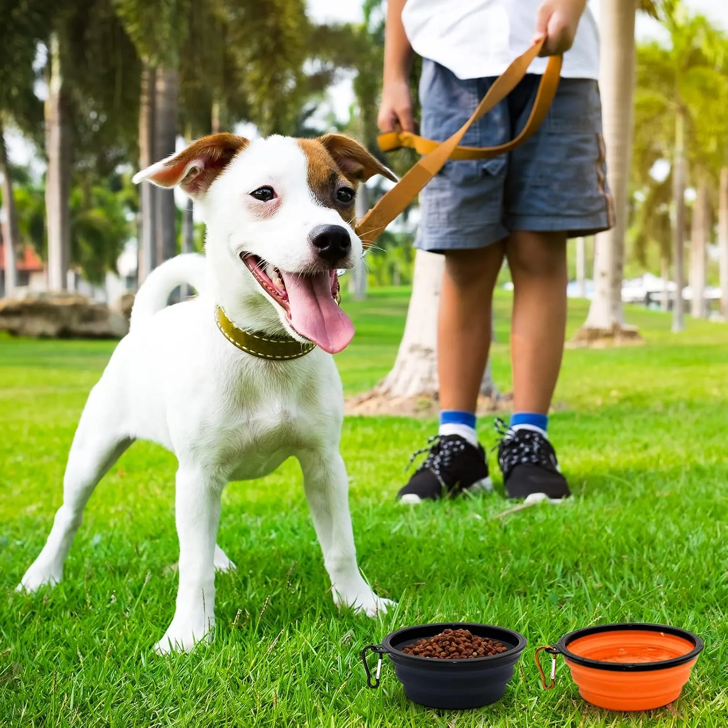 2-Pack Small Dog Travel Bowl, Collapsible Bowls for Dogs, Foldable Cat Water Bowl, Portable Pet Feeding Watering Traveling Dish (Black & Orange)