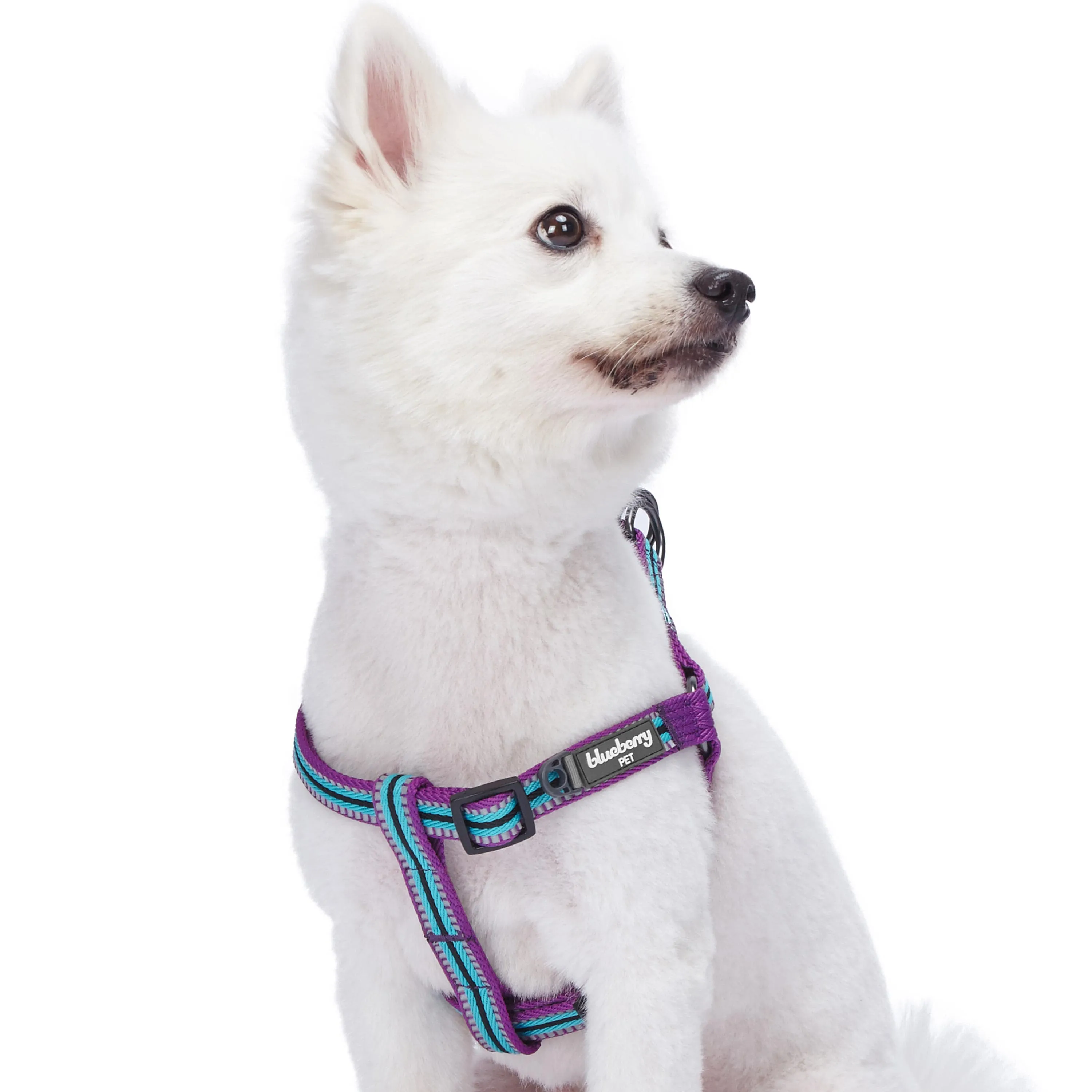 3M Reflective Step-in Dog Harness in Multi-colored Stripes