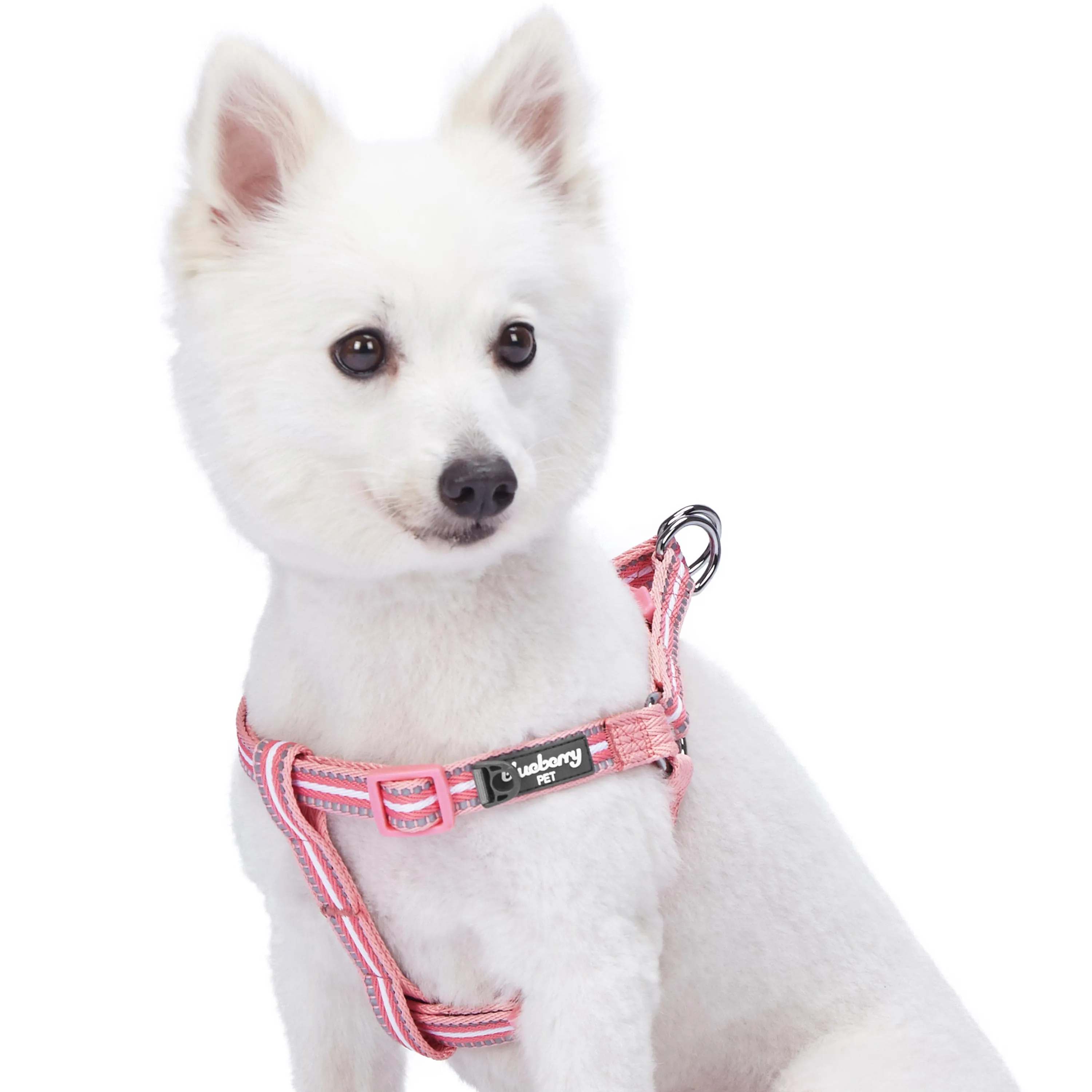 3M Reflective Step-in Dog Harness in Multi-colored Stripes
