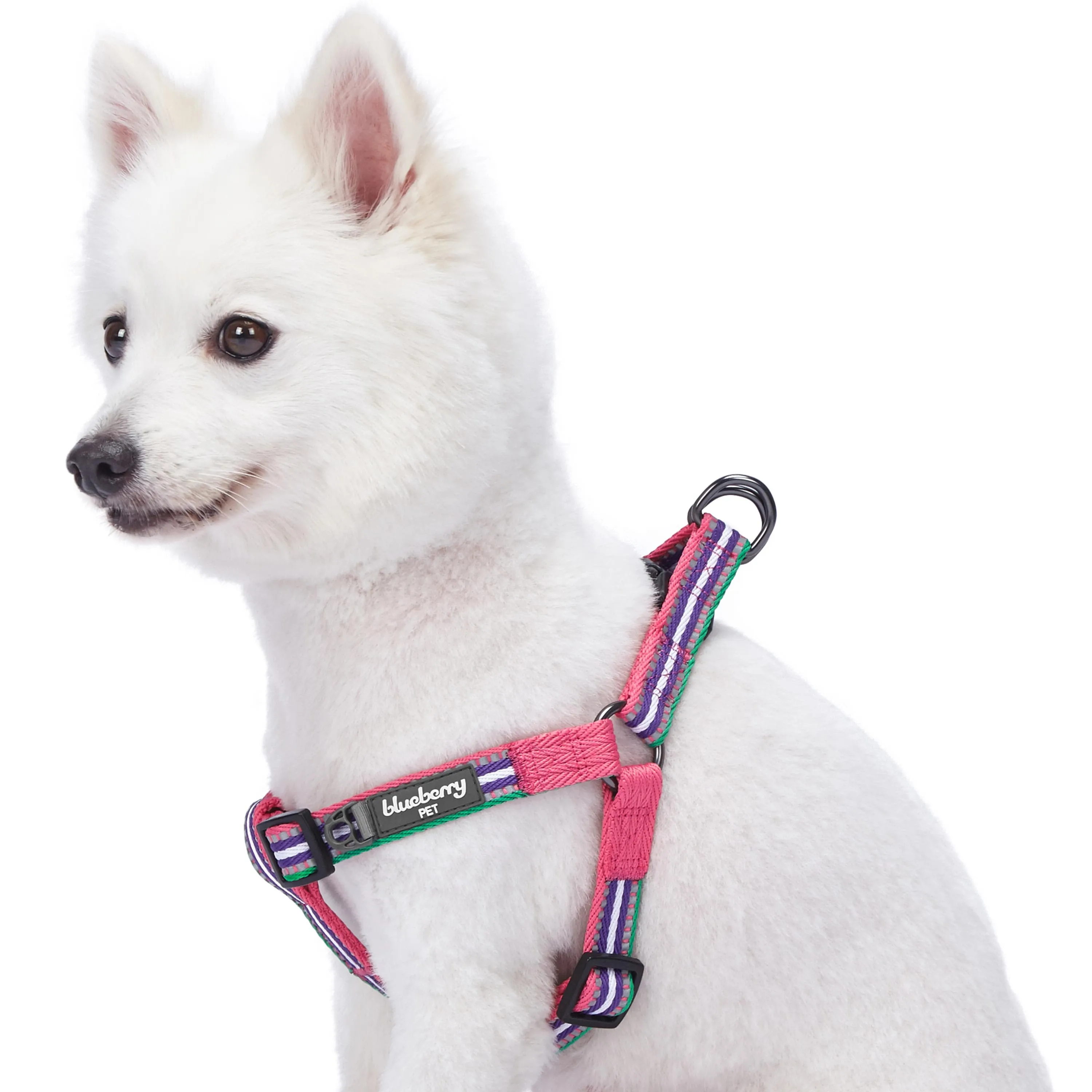 3M Reflective Step-in Dog Harness in Multi-colored Stripes