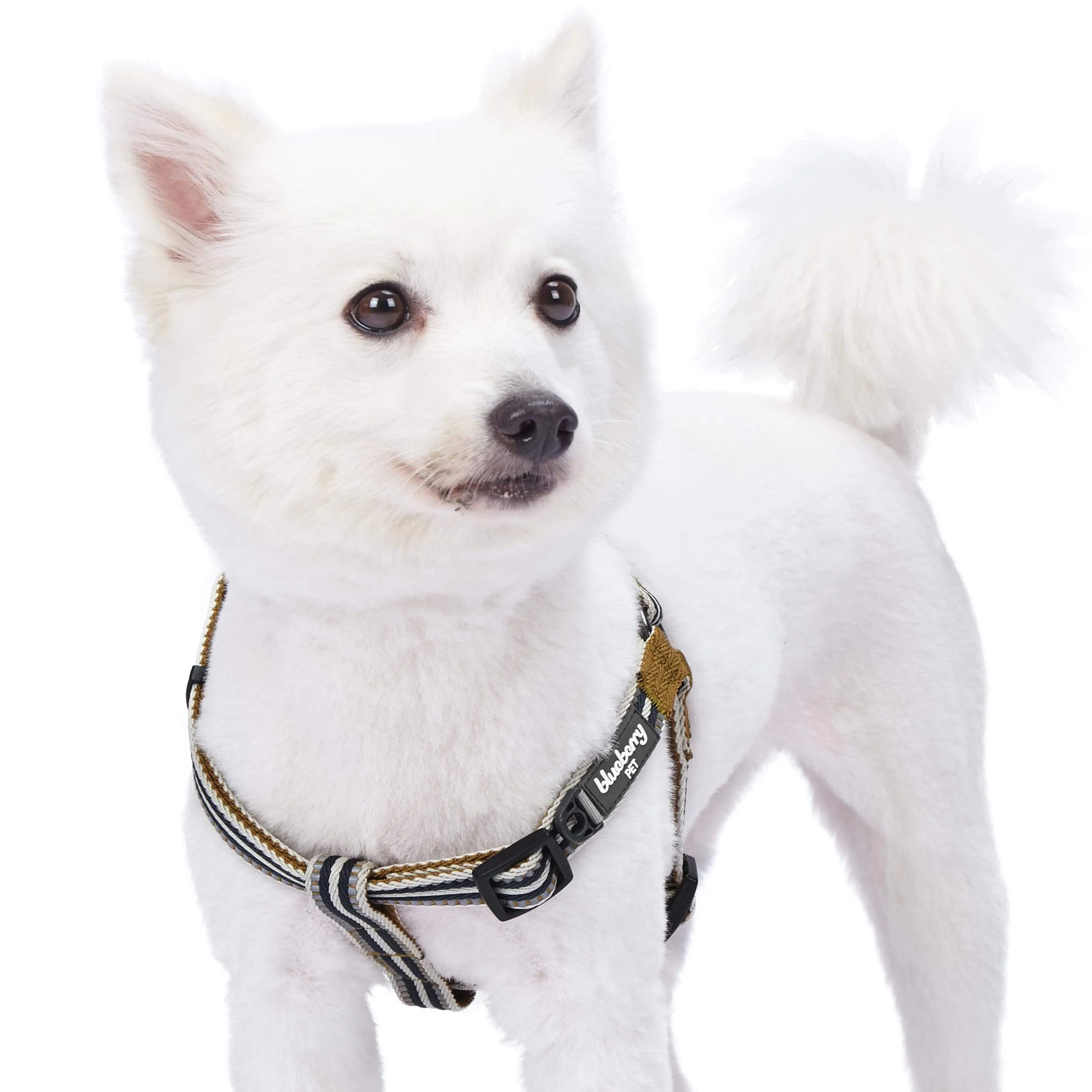 3M Reflective Step-in Dog Harness in Multi-colored Stripes