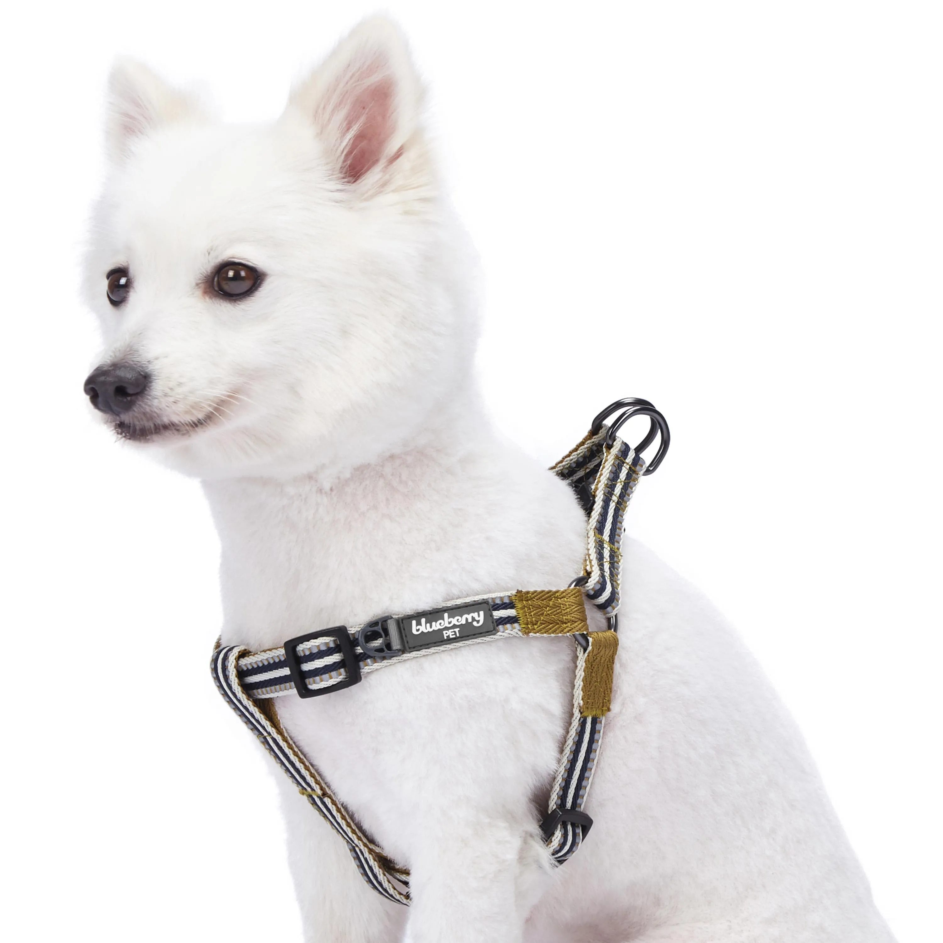3M Reflective Step-in Dog Harness in Multi-colored Stripes