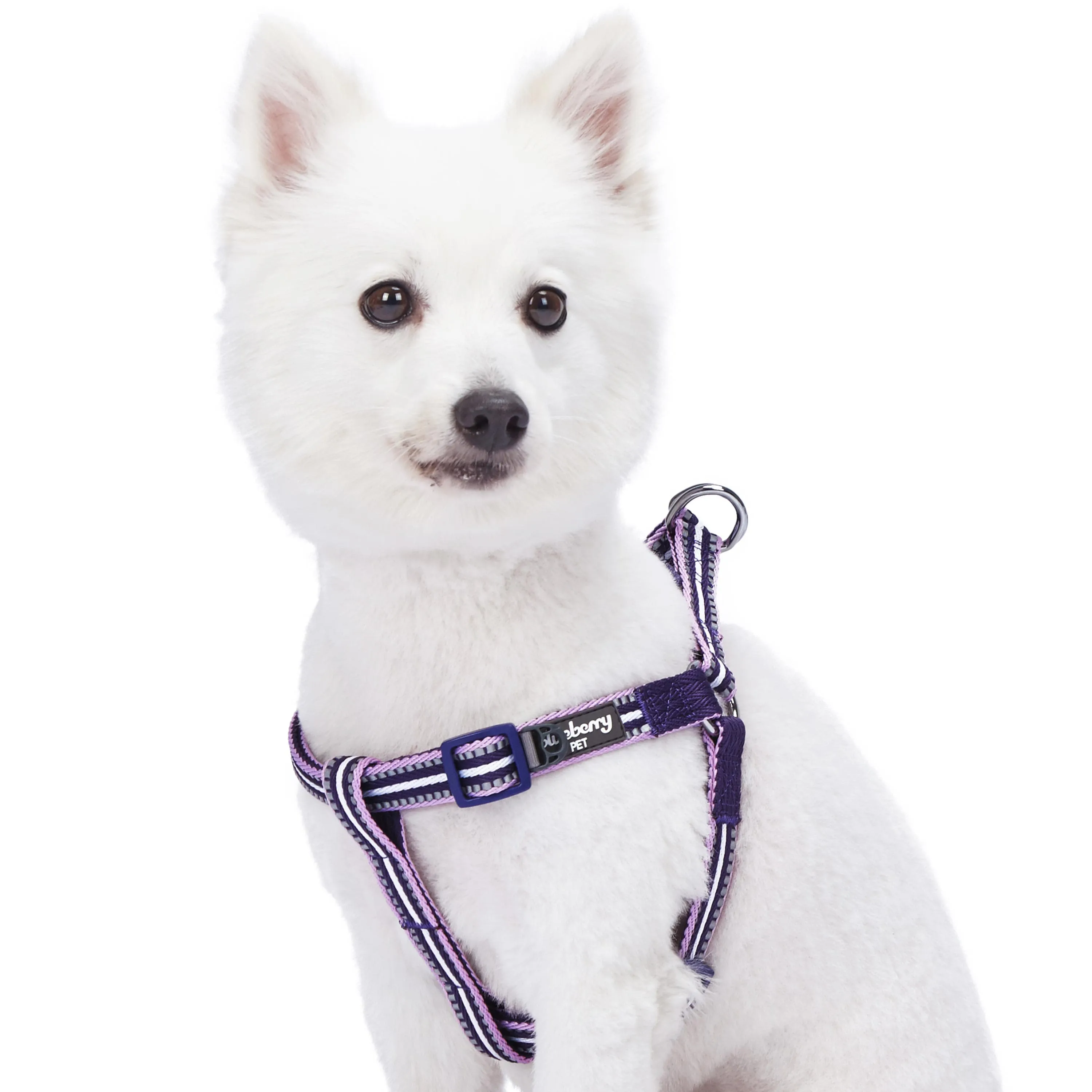 3M Reflective Step-in Dog Harness in Multi-colored Stripes