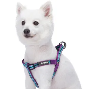 3M Reflective Step-in Dog Harness in Multi-colored Stripes