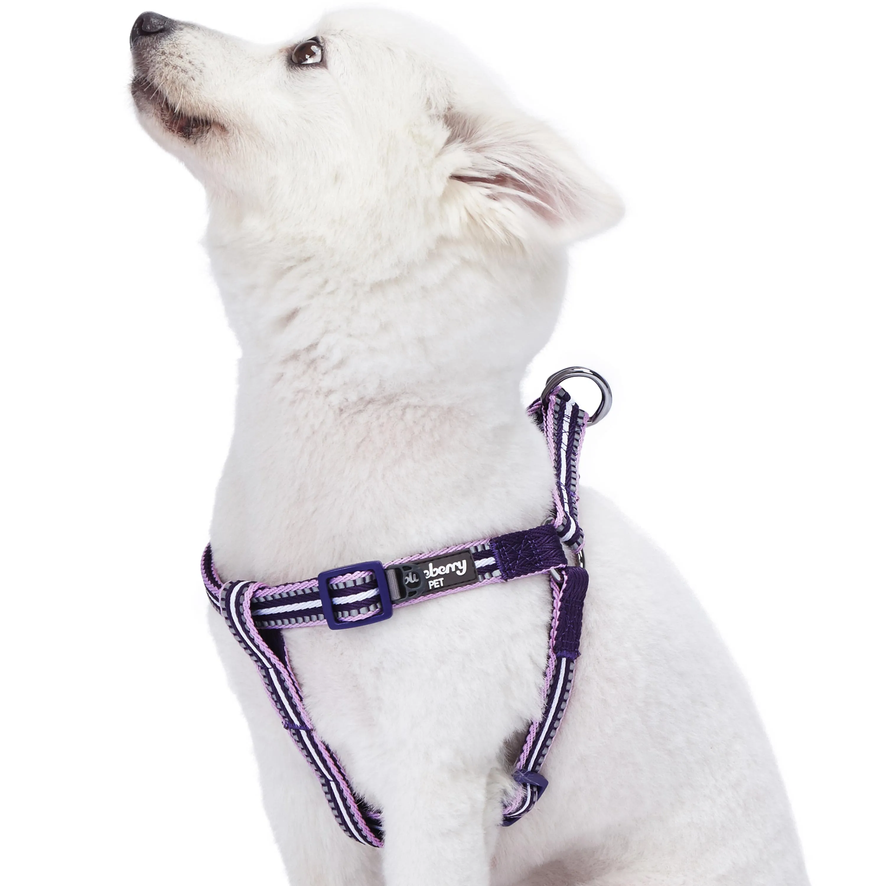 3M Reflective Step-in Dog Harness in Multi-colored Stripes