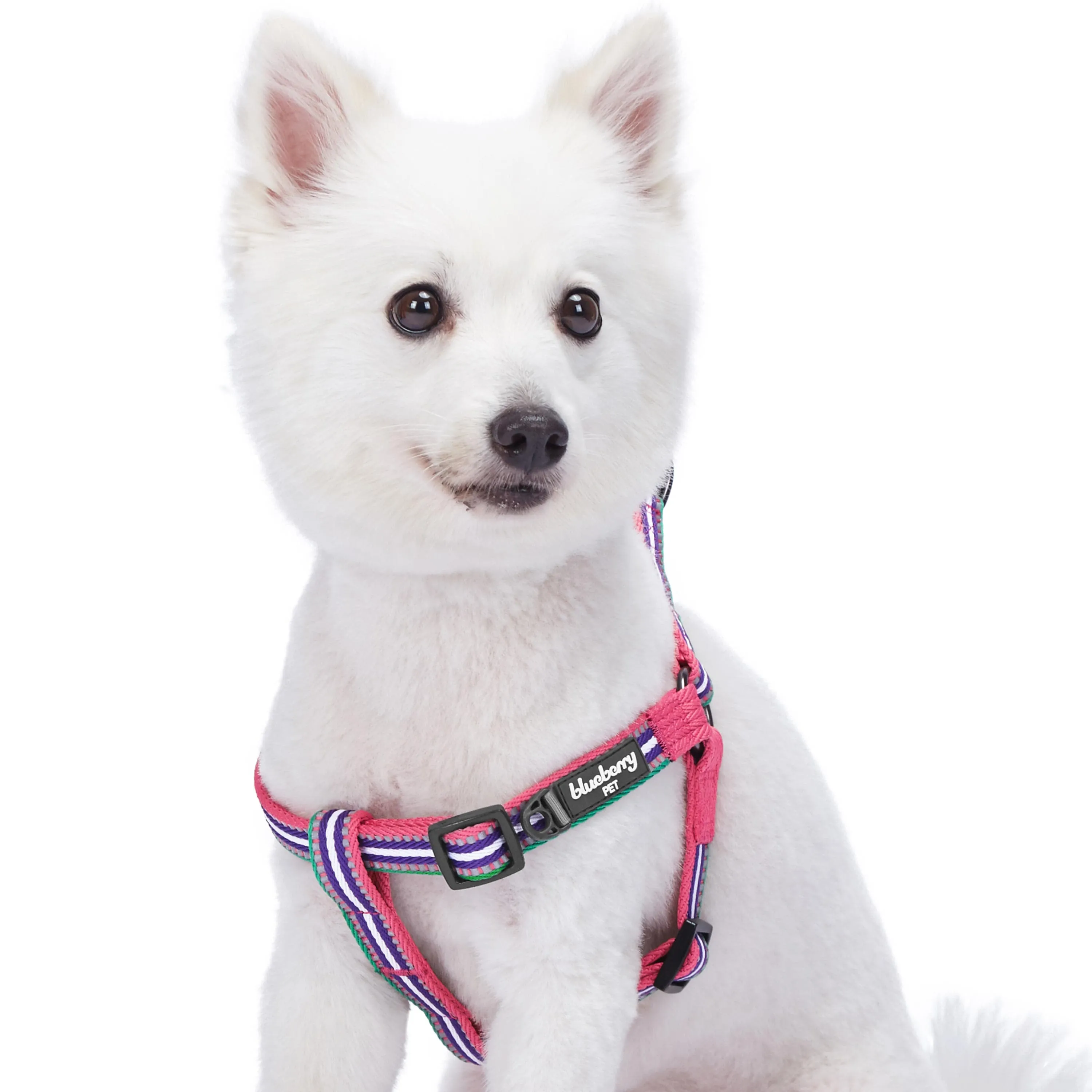 3M Reflective Step-in Dog Harness in Multi-colored Stripes