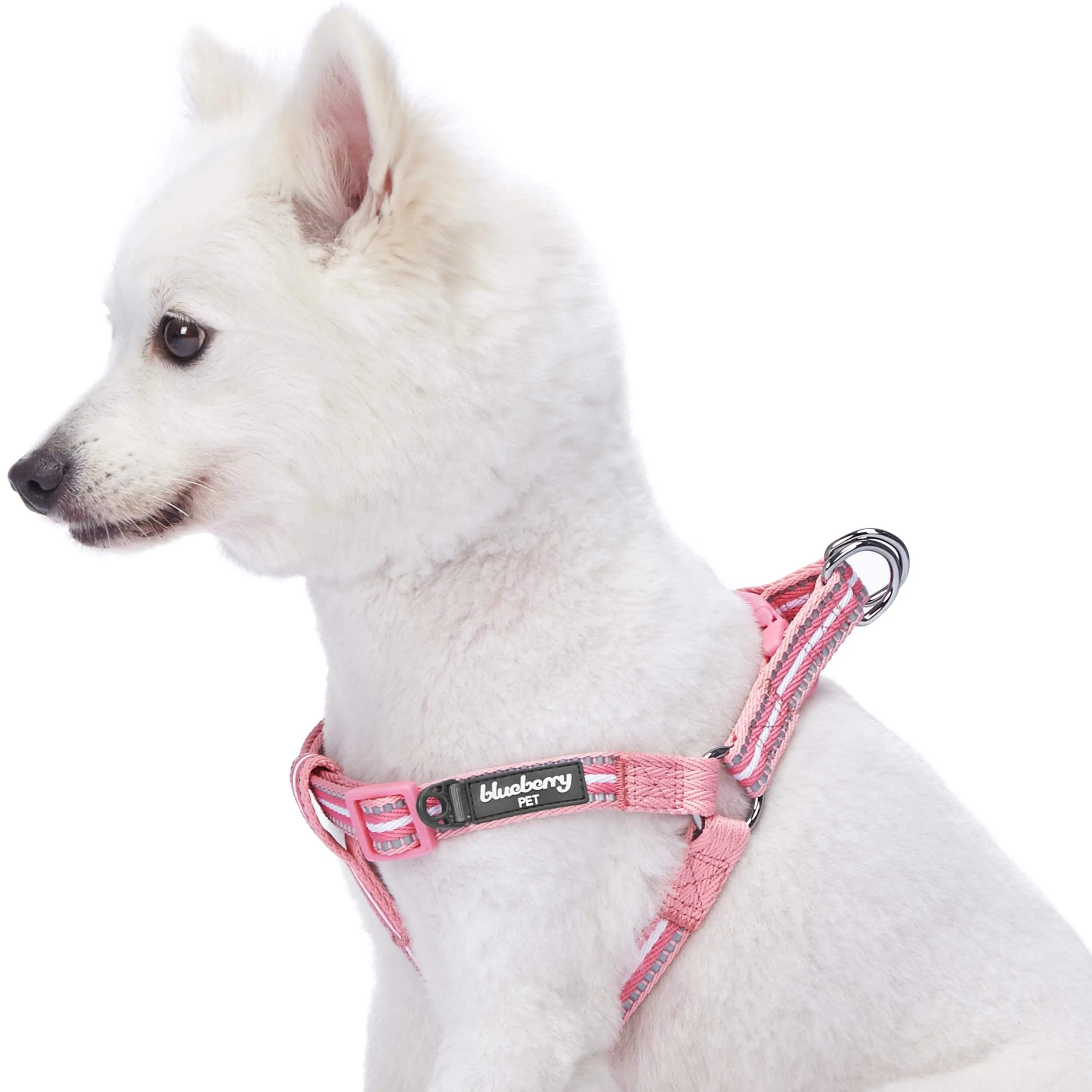 3M Reflective Step-in Dog Harness in Multi-colored Stripes
