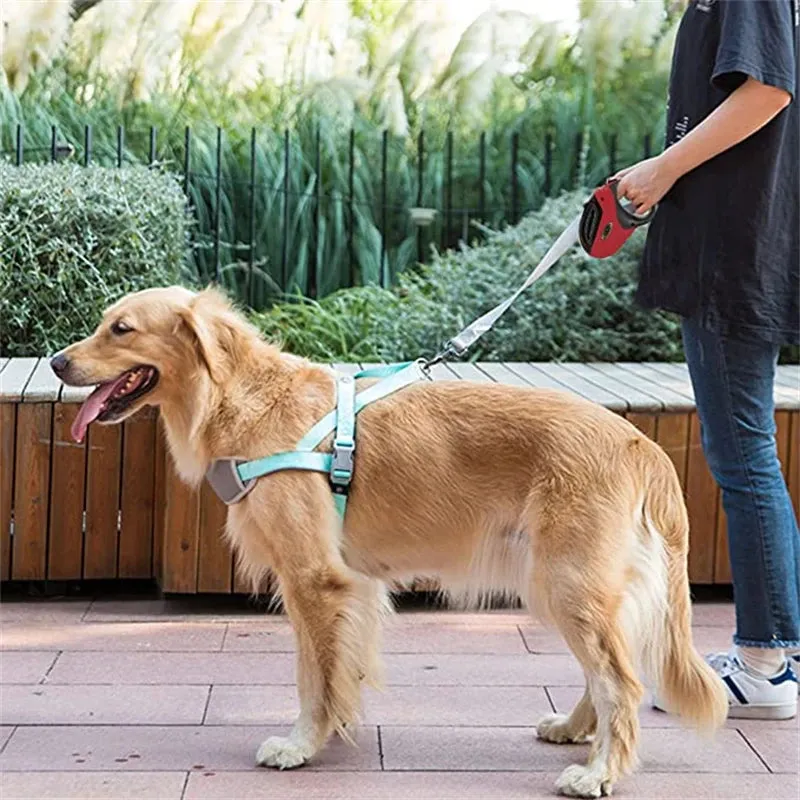 5M Dog Leash Automatic Retractable Walking Running Leads Durable Leash Cat Leashes Extending Dogs for Large Medium Dogs Puppy