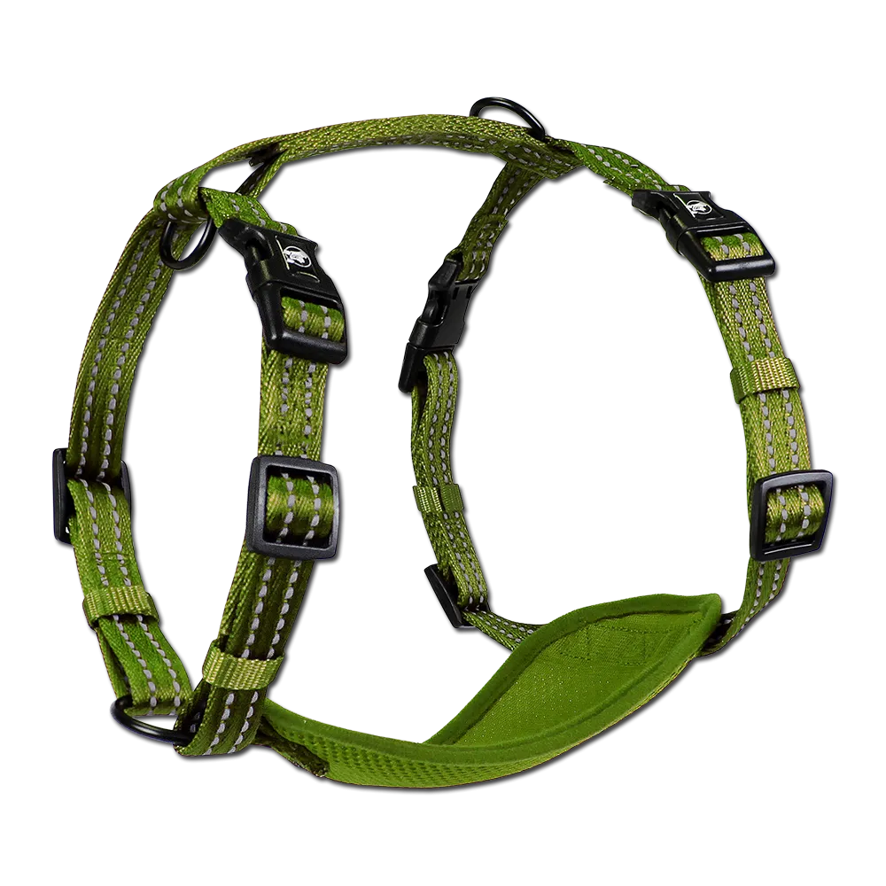 Adventure Harnesses