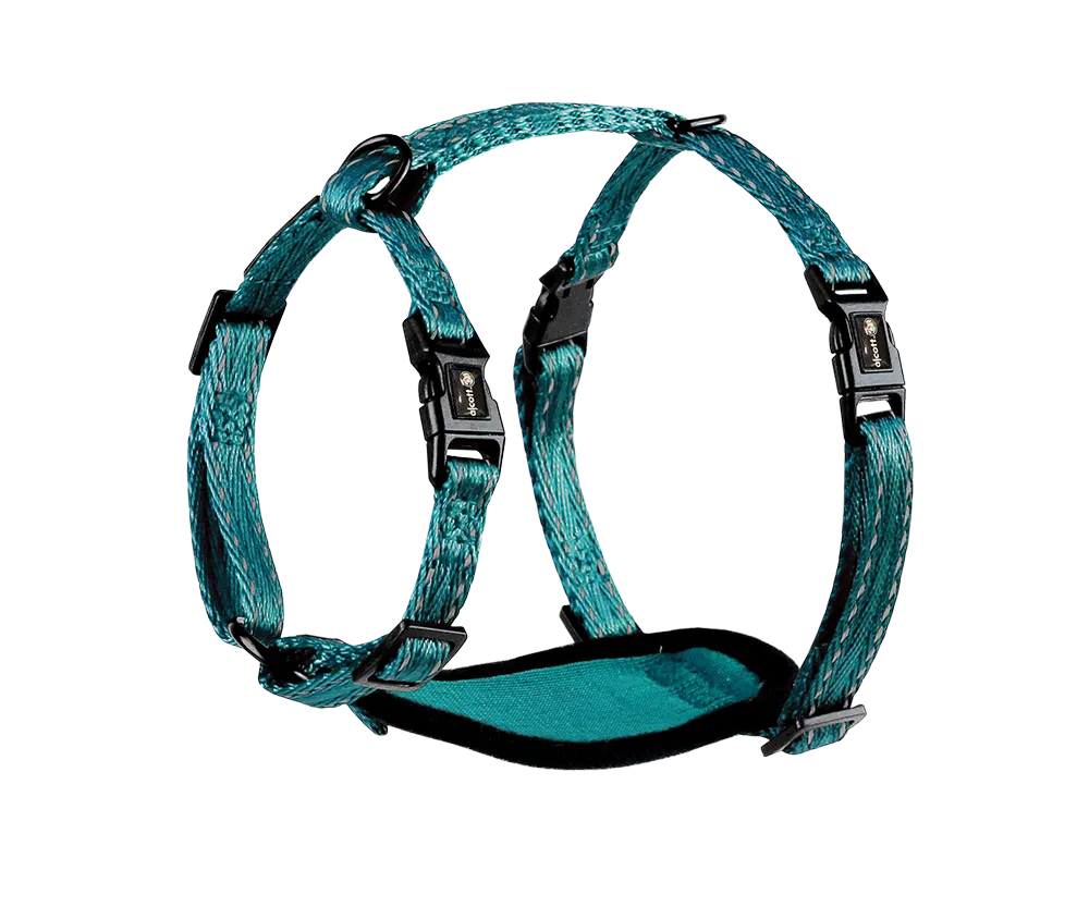 Adventure Harnesses