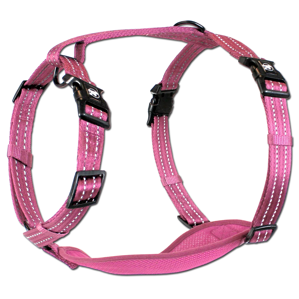 Adventure Harnesses