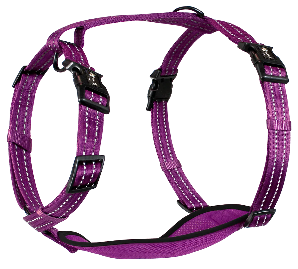 Adventure Harnesses