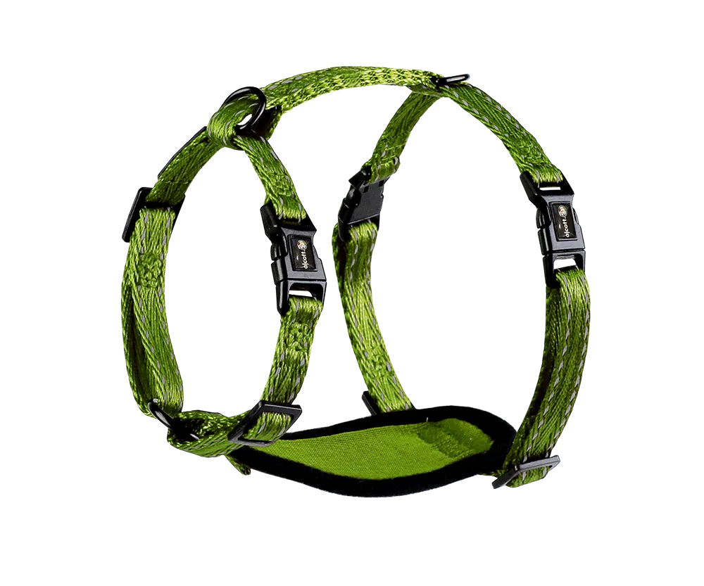Adventure Harnesses