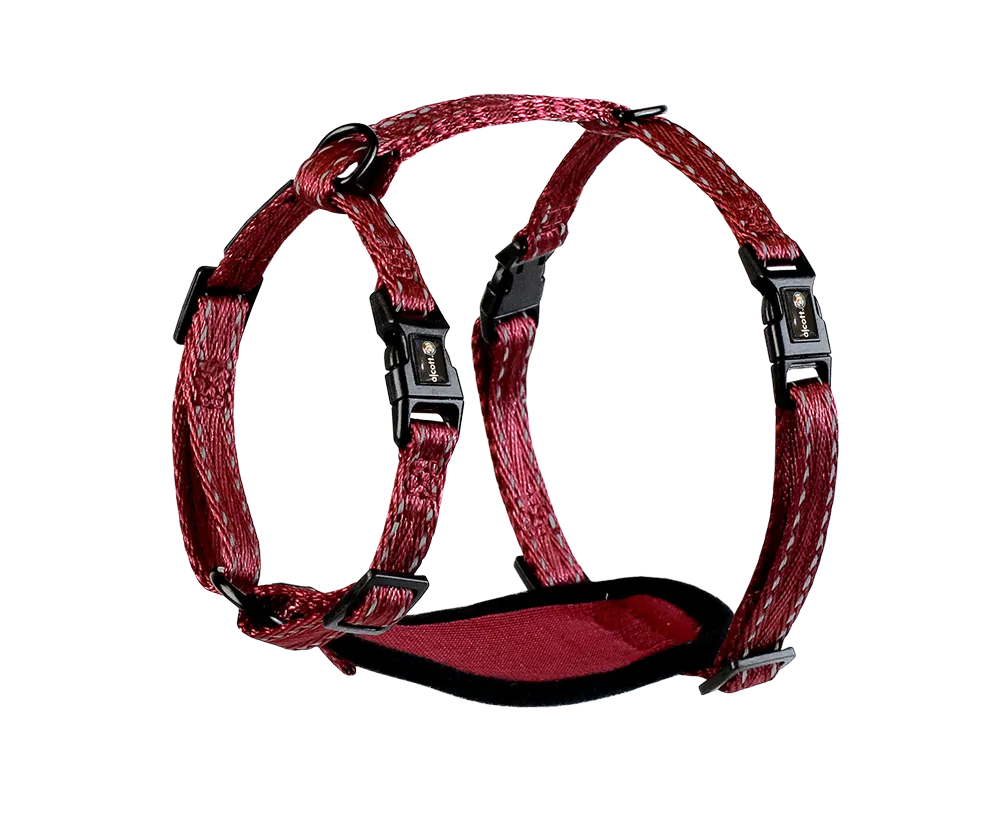Adventure Harnesses