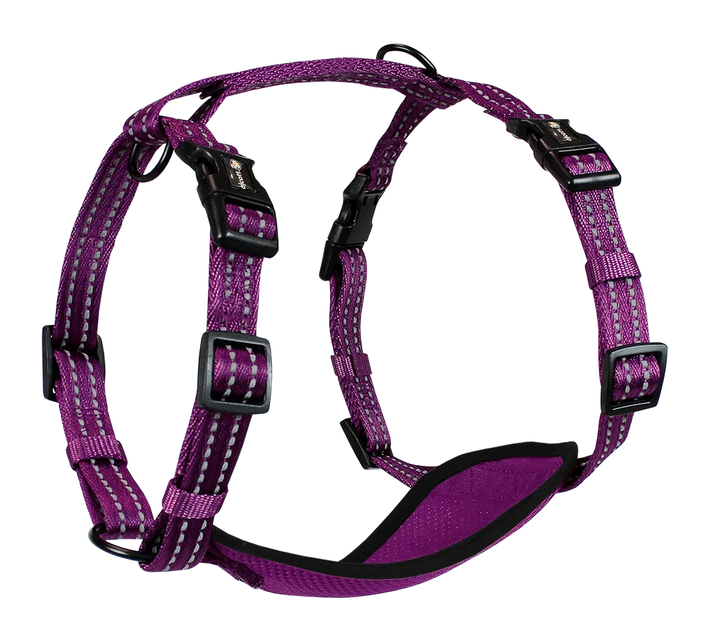 Adventure Harnesses