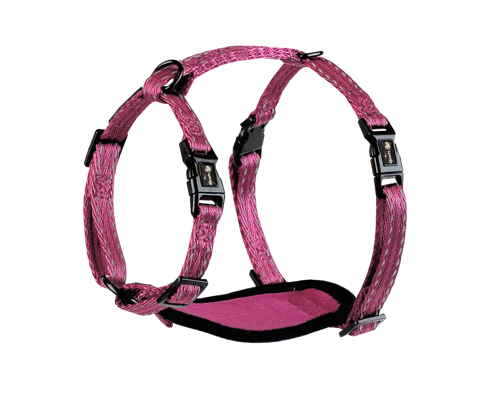 Adventure Harnesses