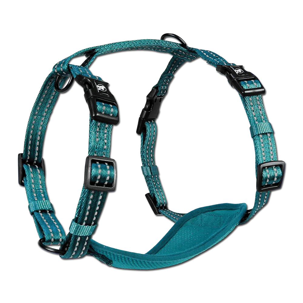 Adventure Harnesses