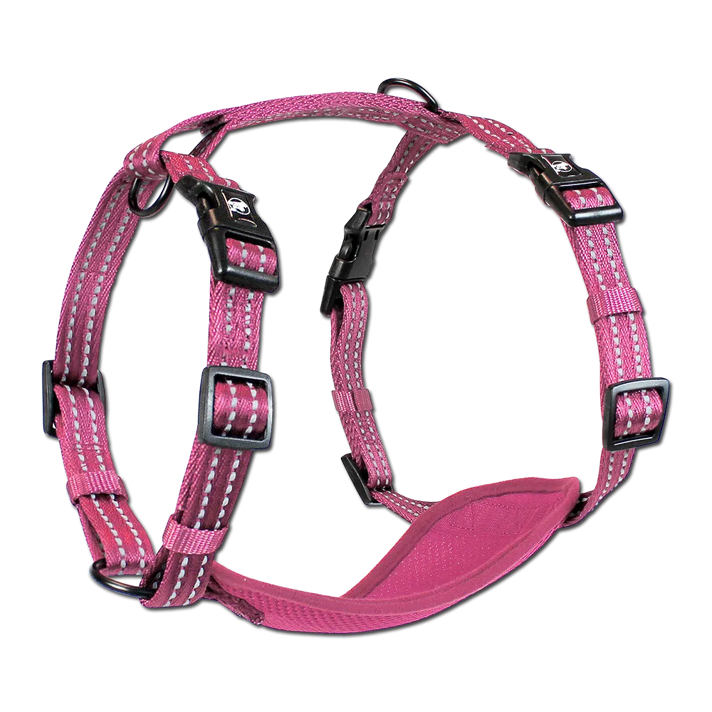 Adventure Harnesses