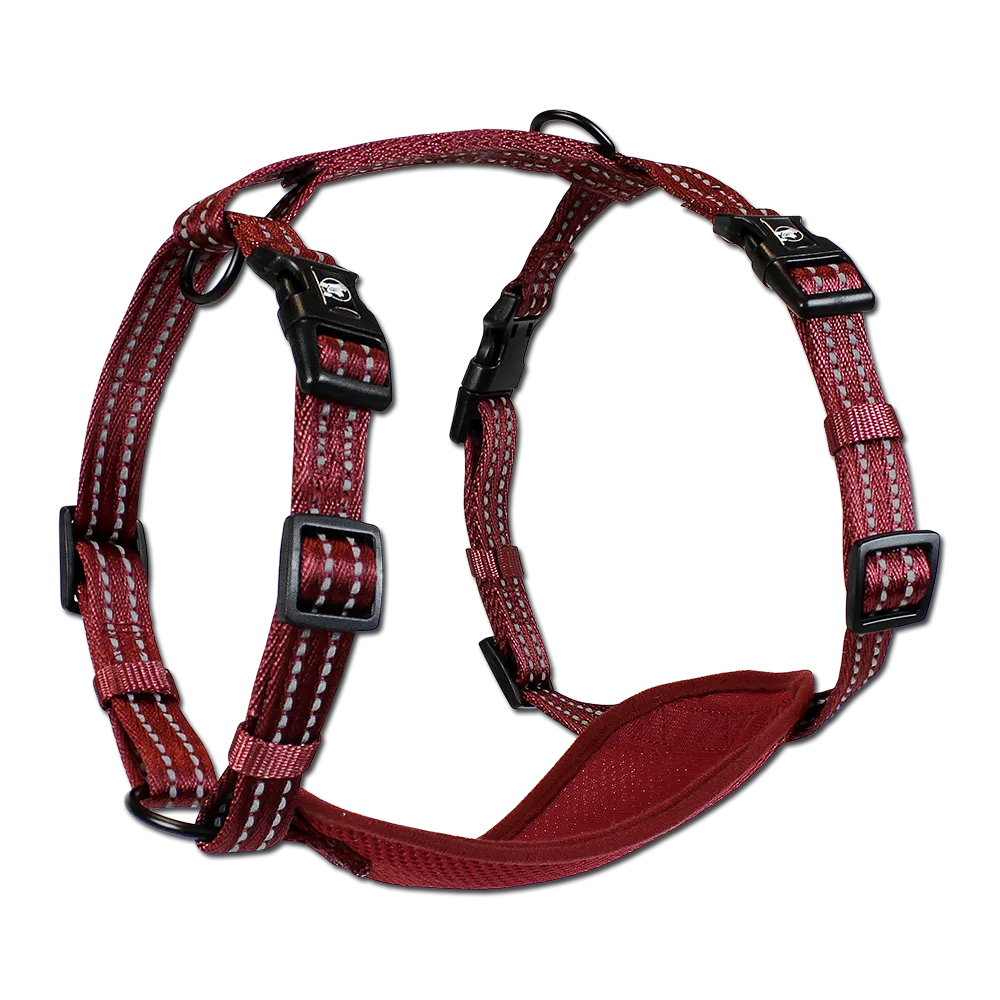 Adventure Harnesses