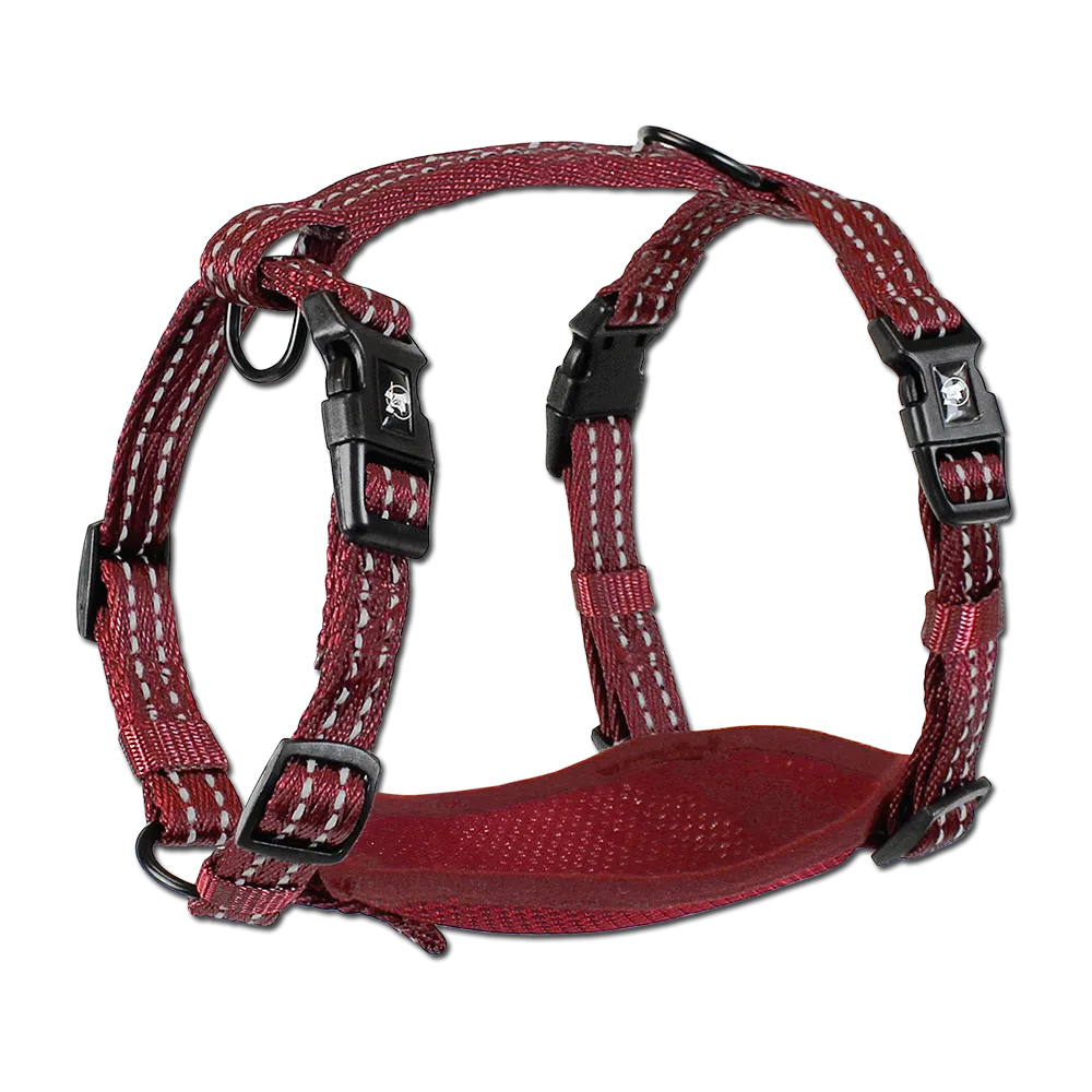 Adventure Harnesses