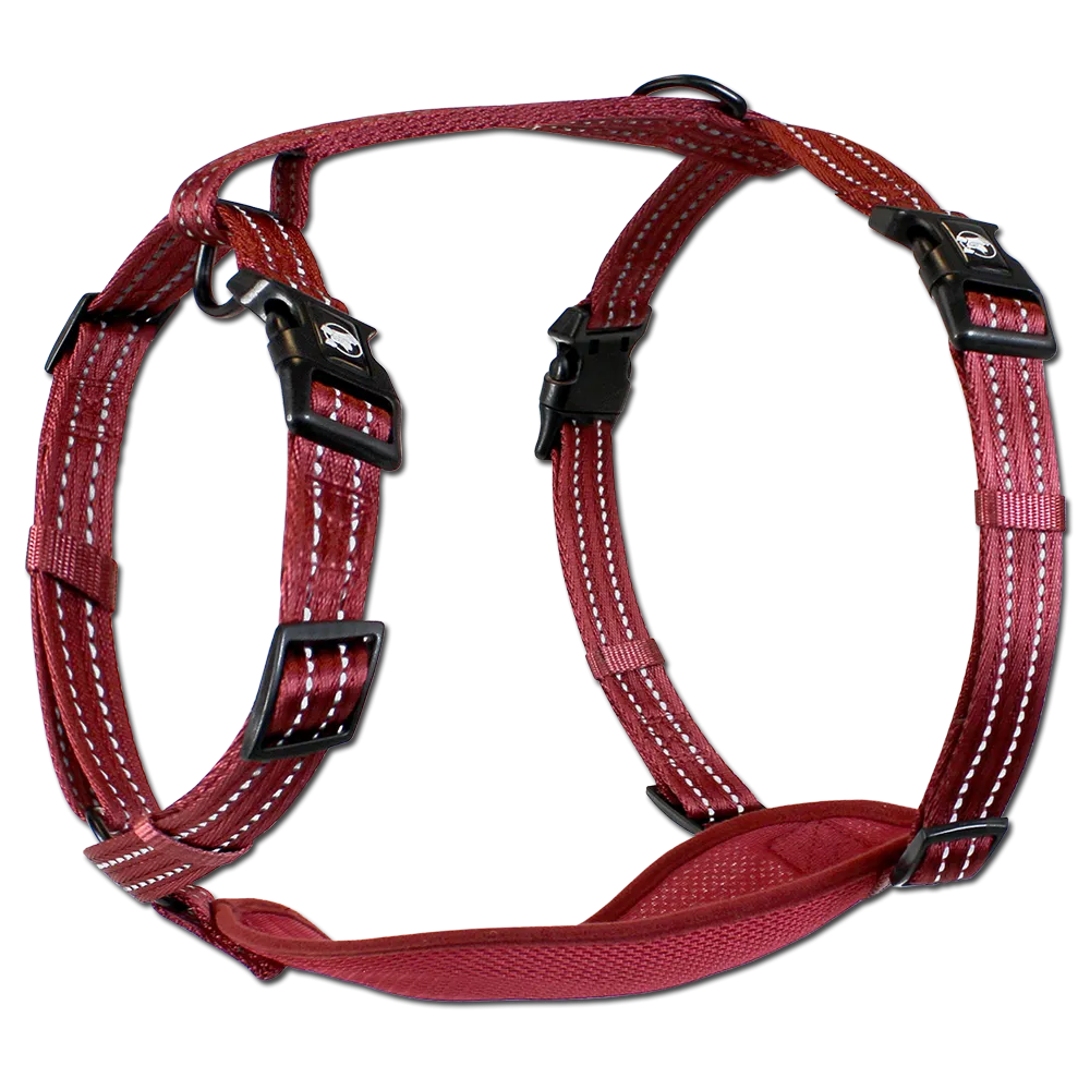 Adventure Harnesses
