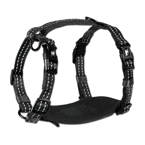 Adventure Harnesses