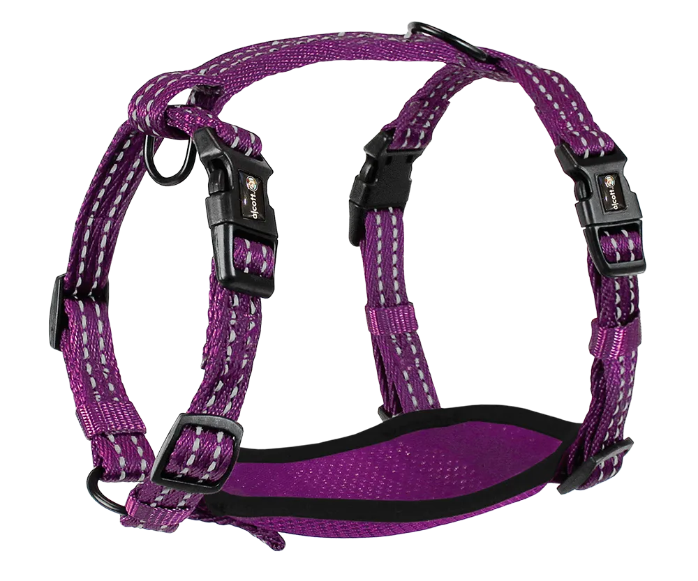 Adventure Harnesses