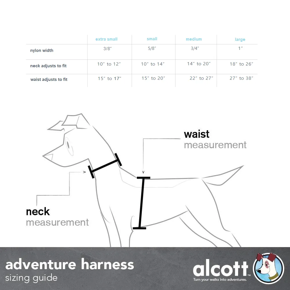 Adventure Harnesses