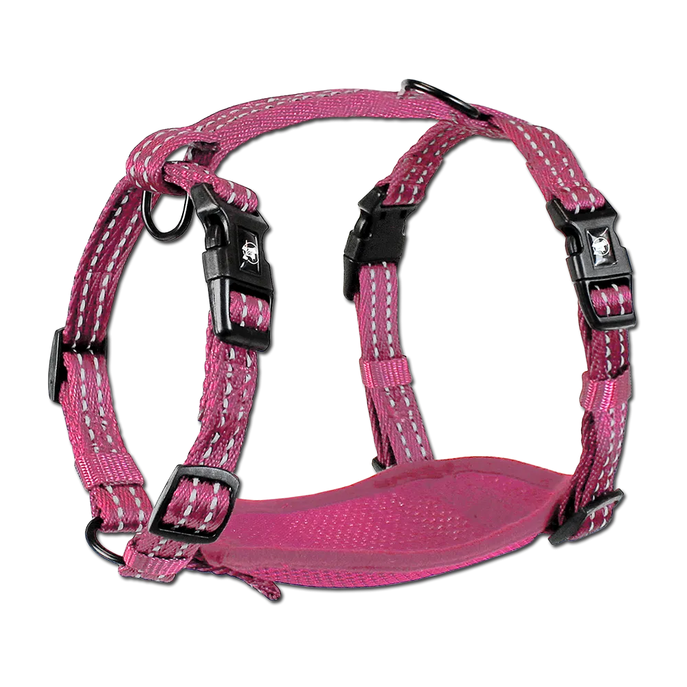 Adventure Harnesses