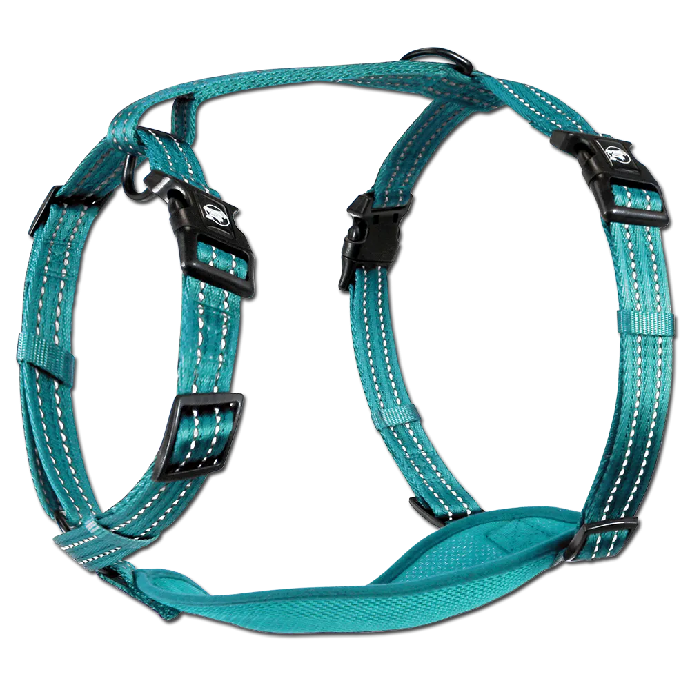 Adventure Harnesses