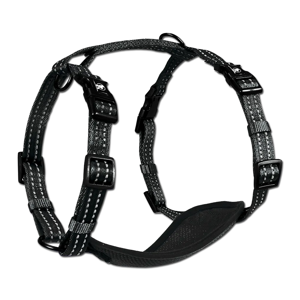 Adventure Harnesses