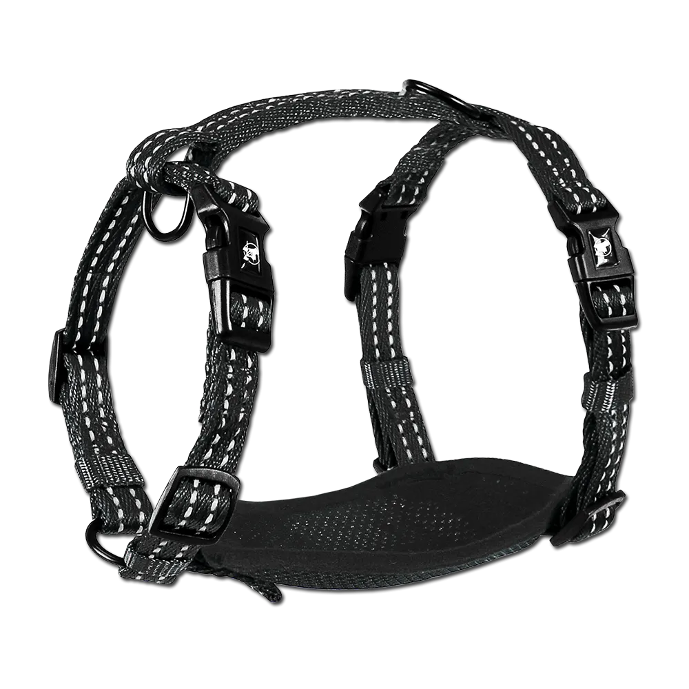 Adventure Harnesses