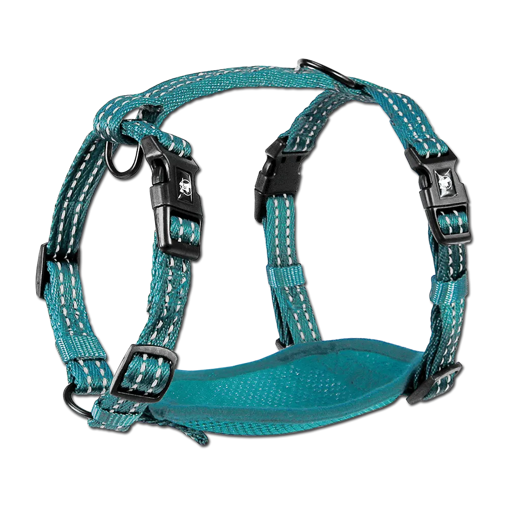Adventure Harnesses