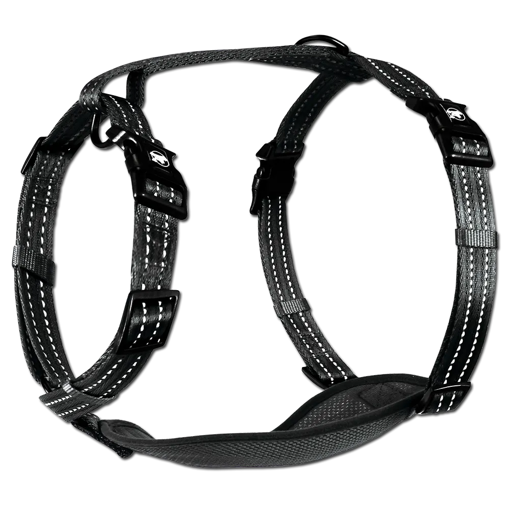 Adventure Harnesses