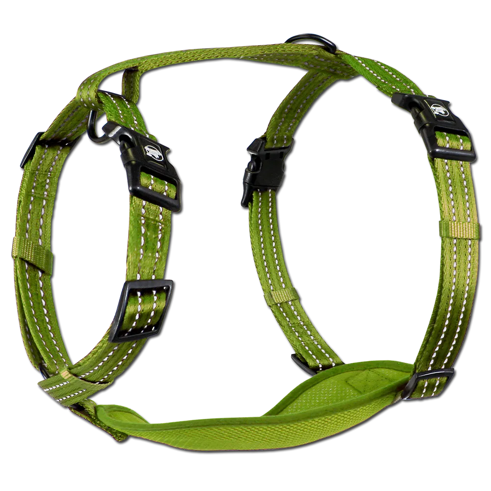 Adventure Harnesses