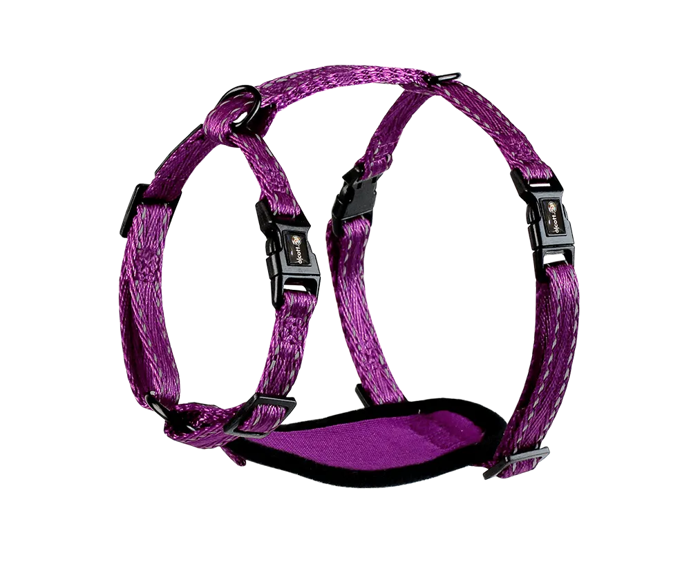 Adventure Harnesses