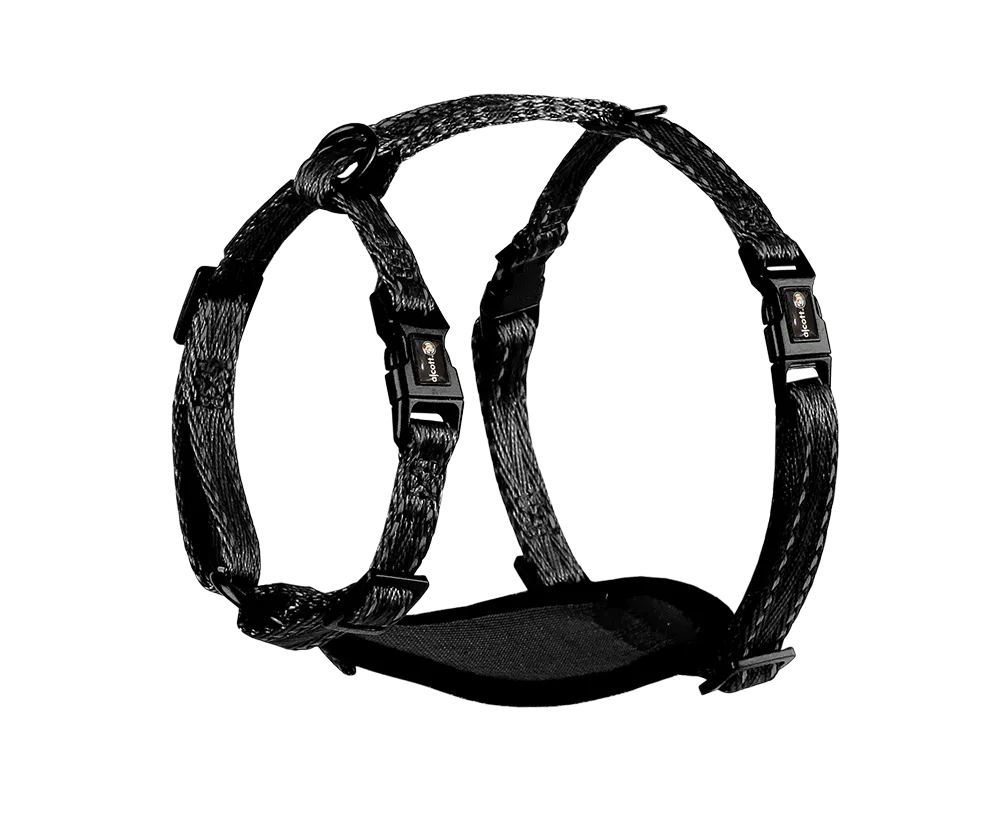 Adventure Harnesses