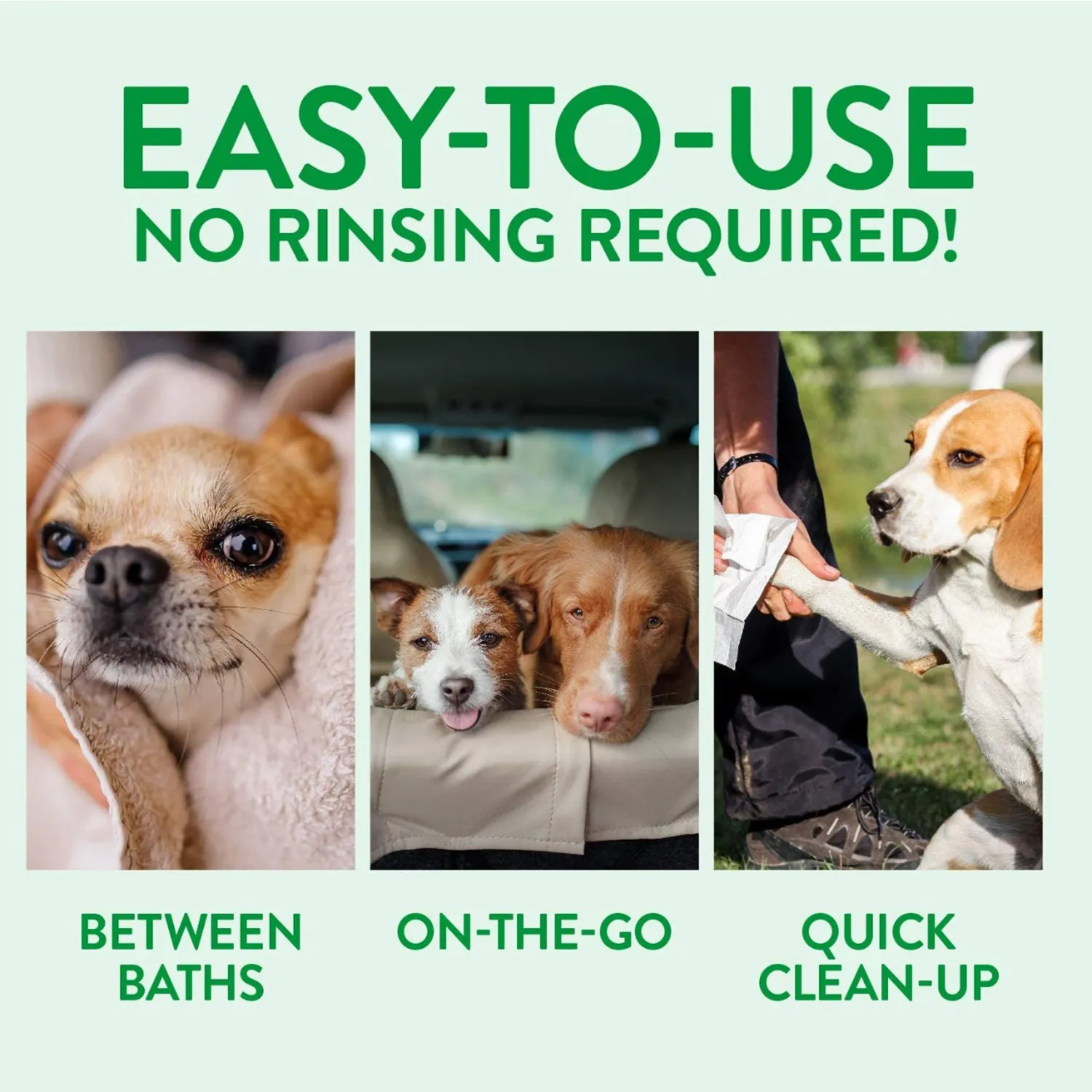 BASIL Moisturising Foam Dry Bath Shampoo for Dogs and Cats