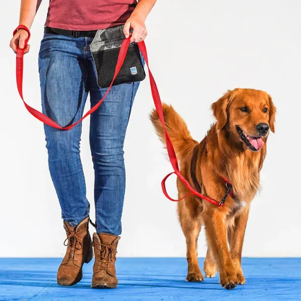 Blue-9 Reflective 6' Leash