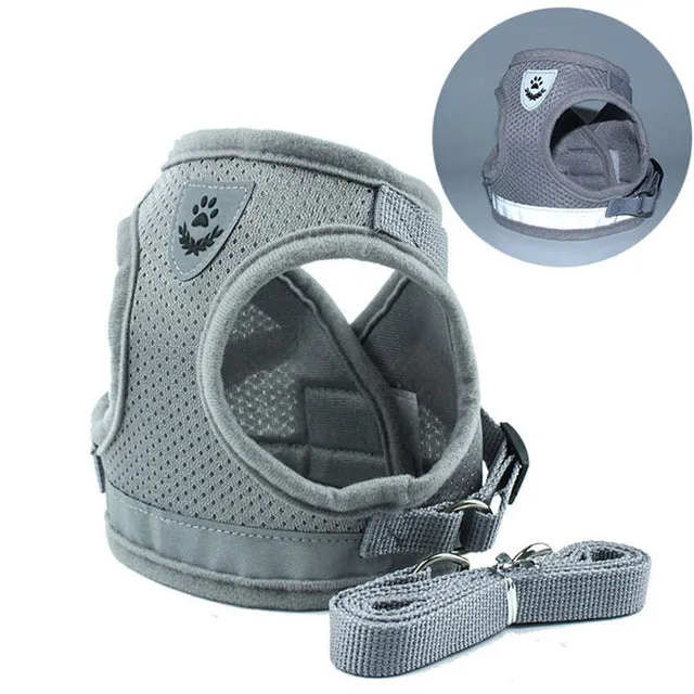 Collar Leash Dog Harness