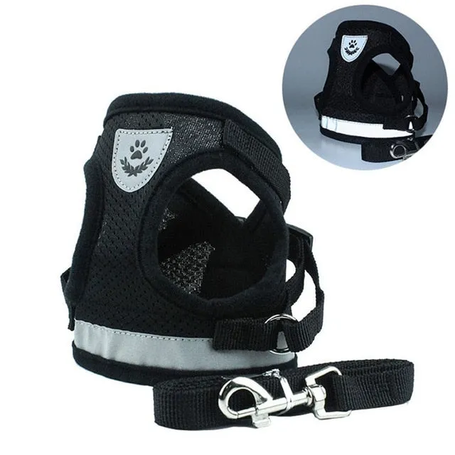 Collar Leash Dog Harness