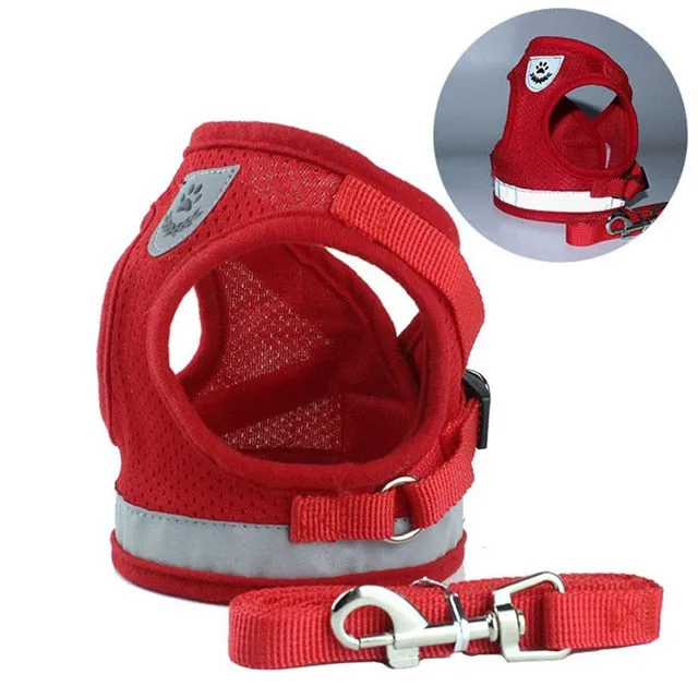 Collar Leash Dog Harness