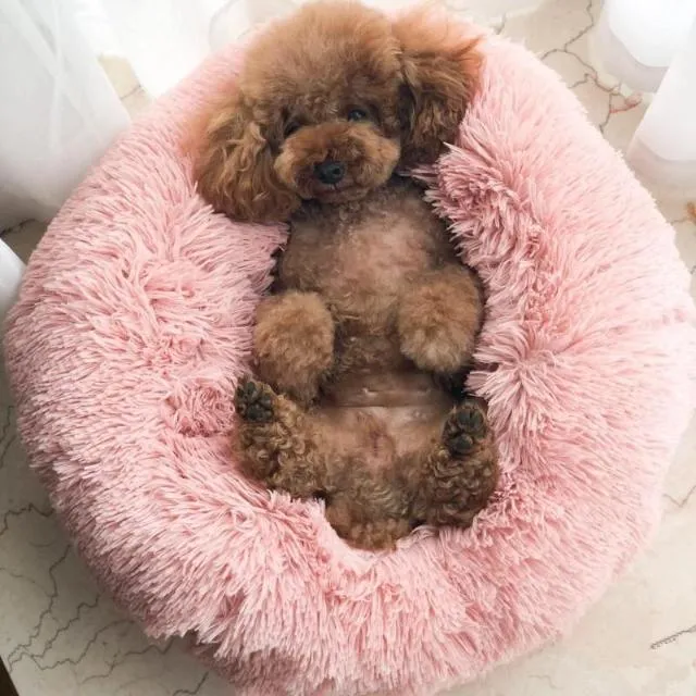 Comfy Calming Pet Bed