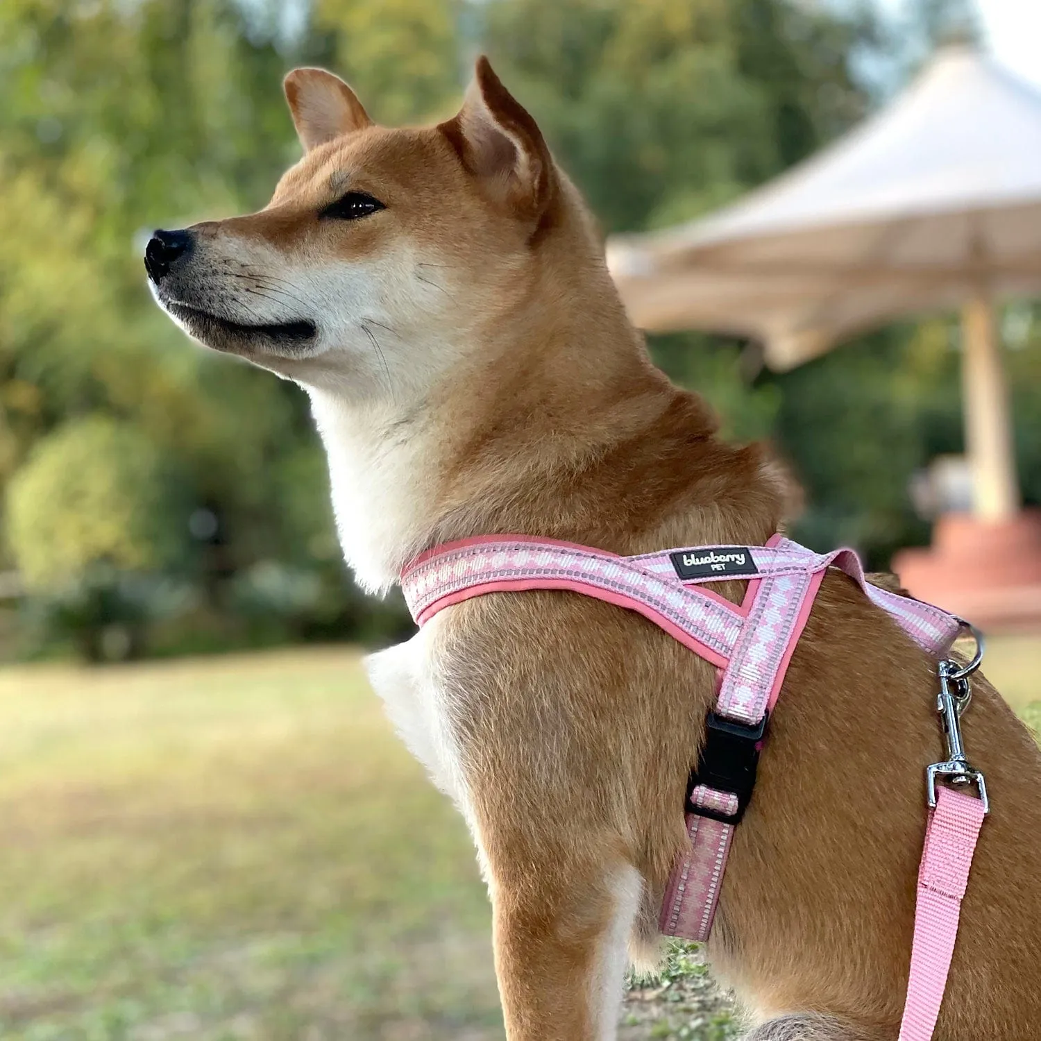 Easy On/Off | Soft 3M Reflective Jacquard Dog Harness with Handle