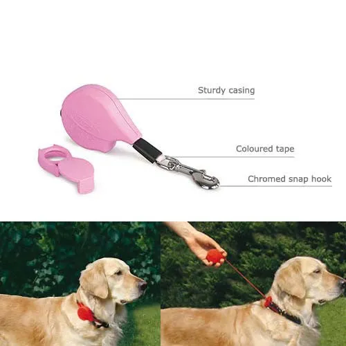Flexi Click - Retractable Short Leash
