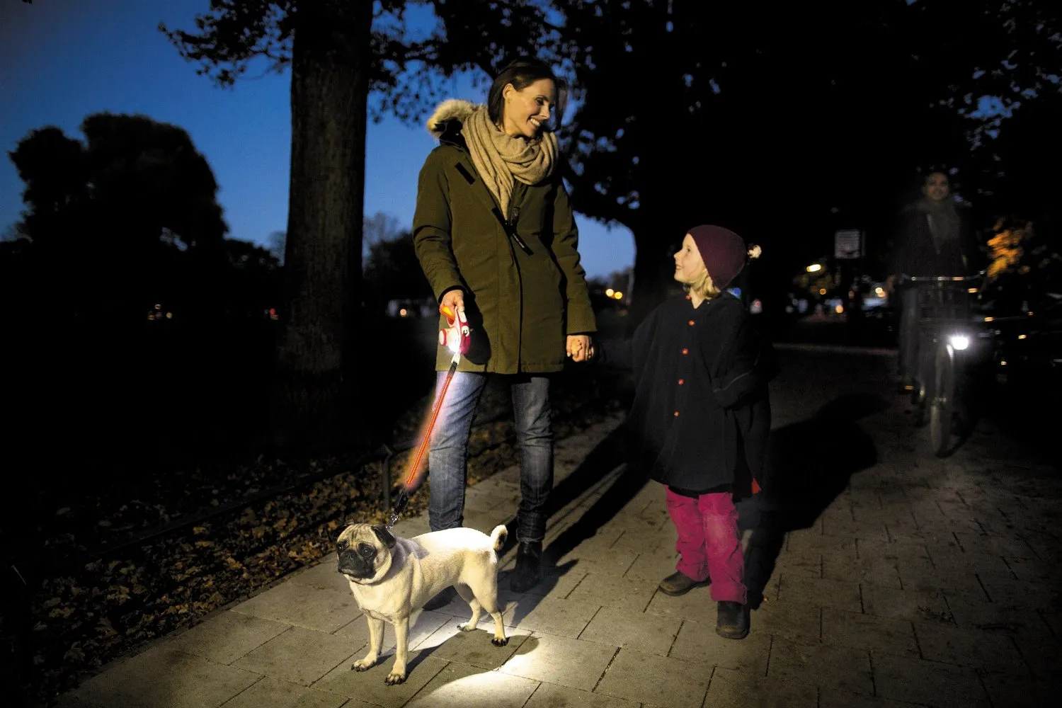 Flexi Vario LED Flash Belt