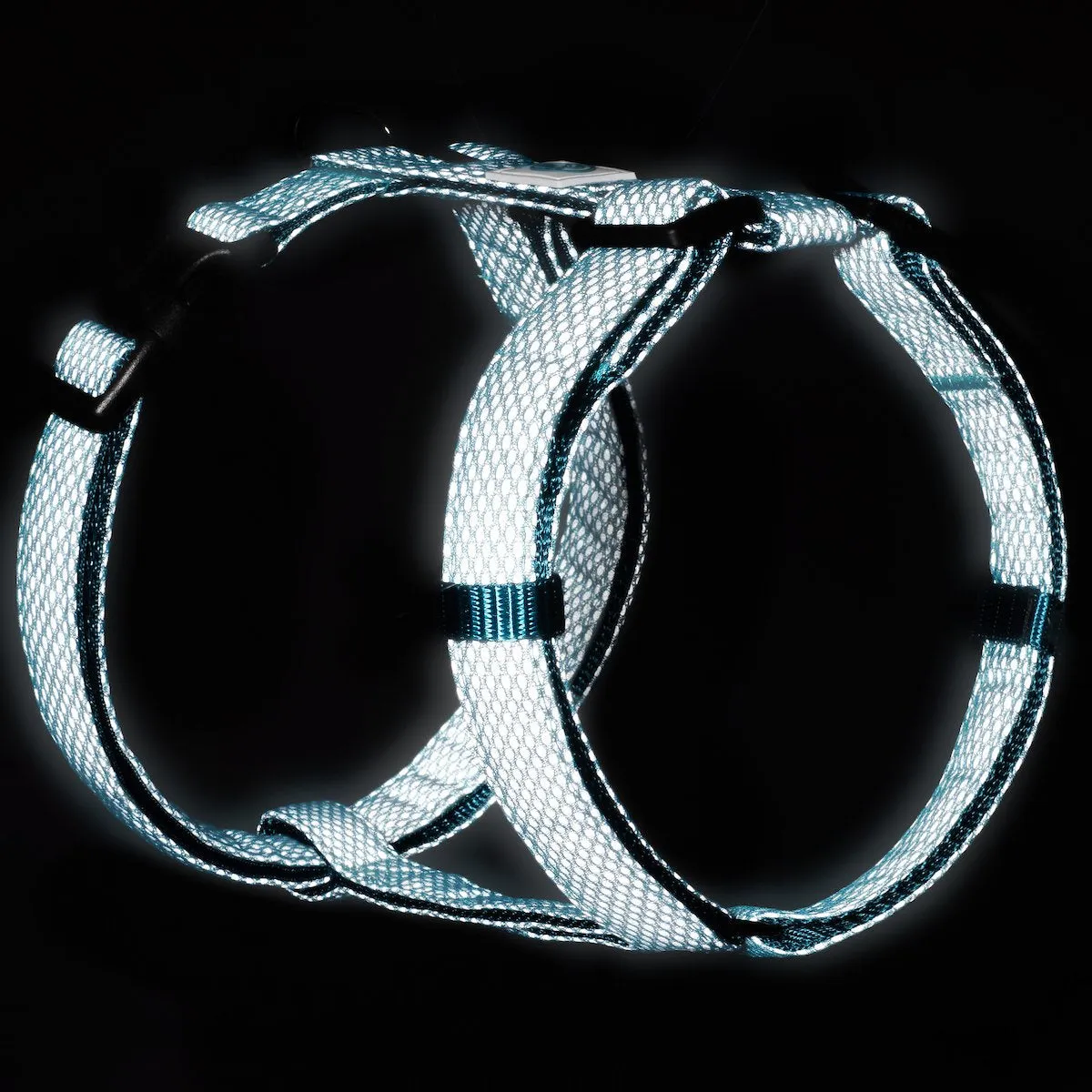 Illuminate Reflective Dog Harness