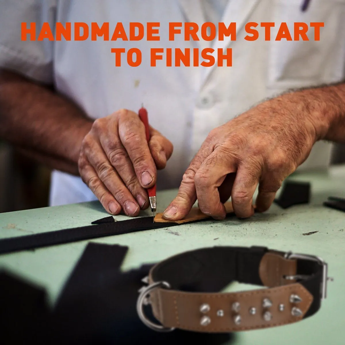 Leather   Nylon Spike Collar