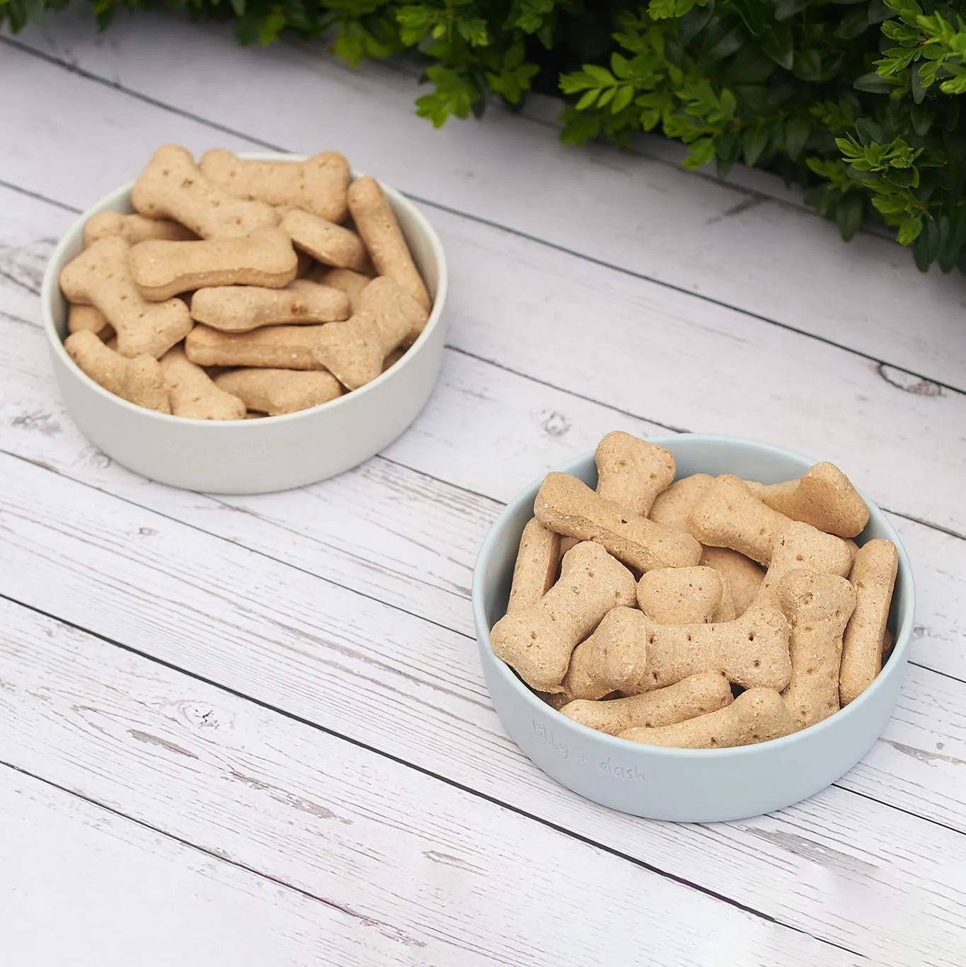 Lily and Dash Dog Bowl Sky