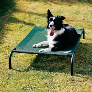 Medium Elevated Indoor-Outdoor Dot Cot in Brunswick Green
